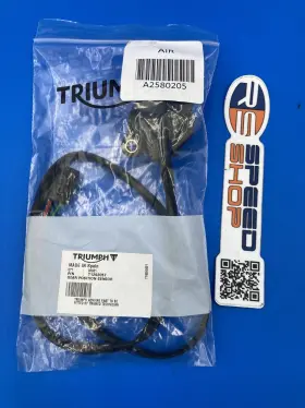 Triumph T1292057 Gear Postion Sensor